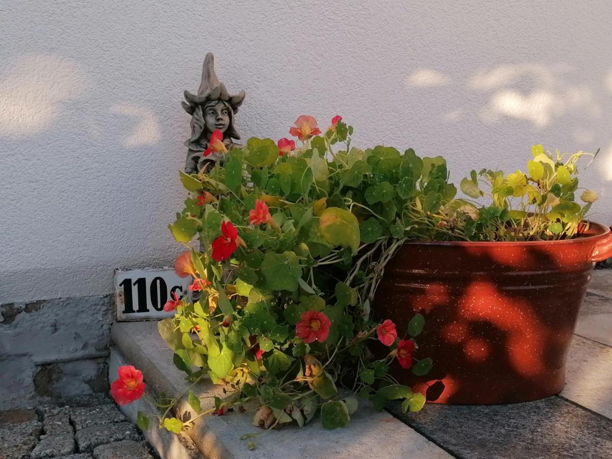 Kaethes Sommerhaus Schona Экстерьер фото